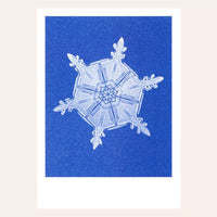Risography postcard | Snow